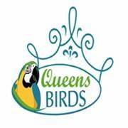 Queens birds